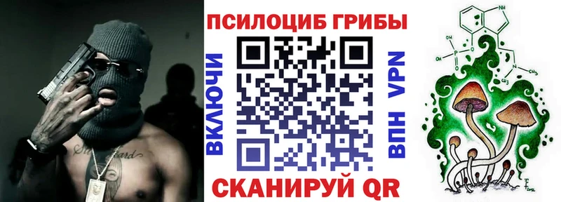 Псилоцибиновые грибы ЛСД  купить закладку  mega ссылка  Черногорск 